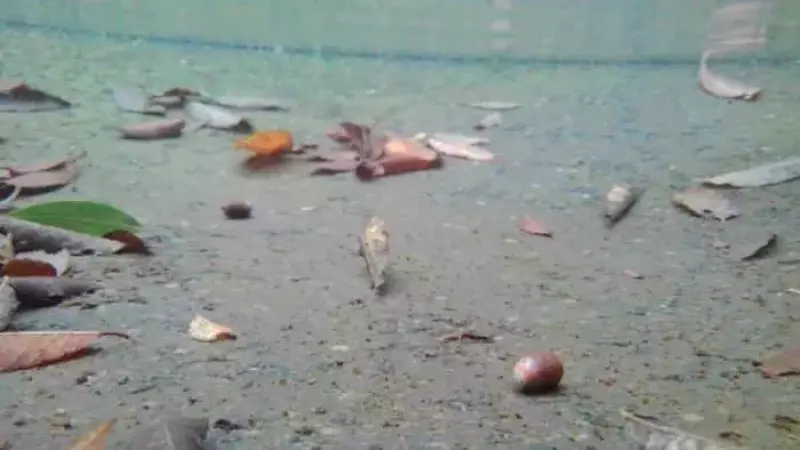 水中撮影モード