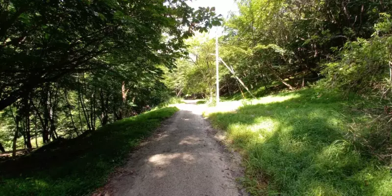 甲武信ヶ岳 登山 登山道