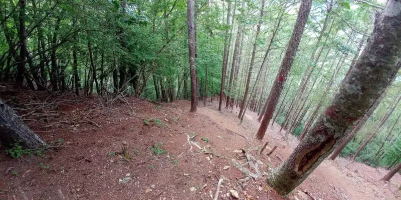 甲武信ヶ岳 登山 登山道