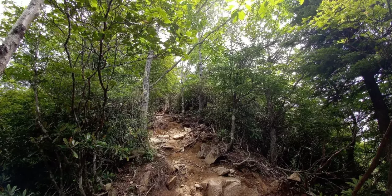 甲武信ヶ岳 登山 登山道 徳ちゃん新道