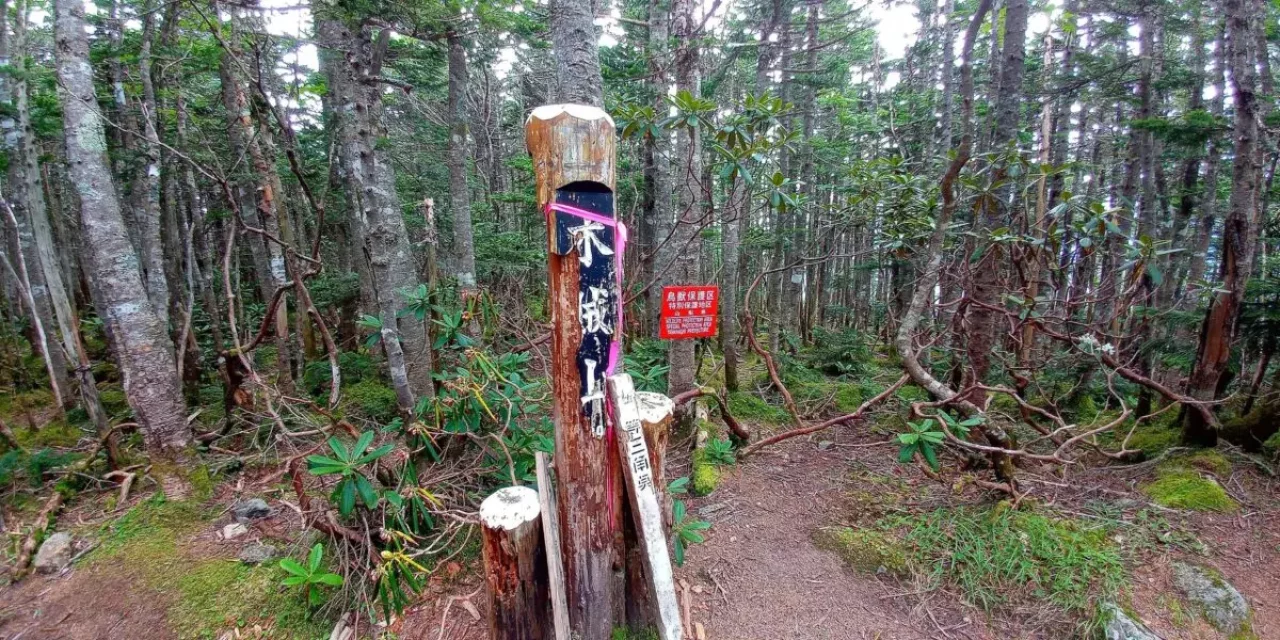 甲武信ヶ岳 登山 木賊山