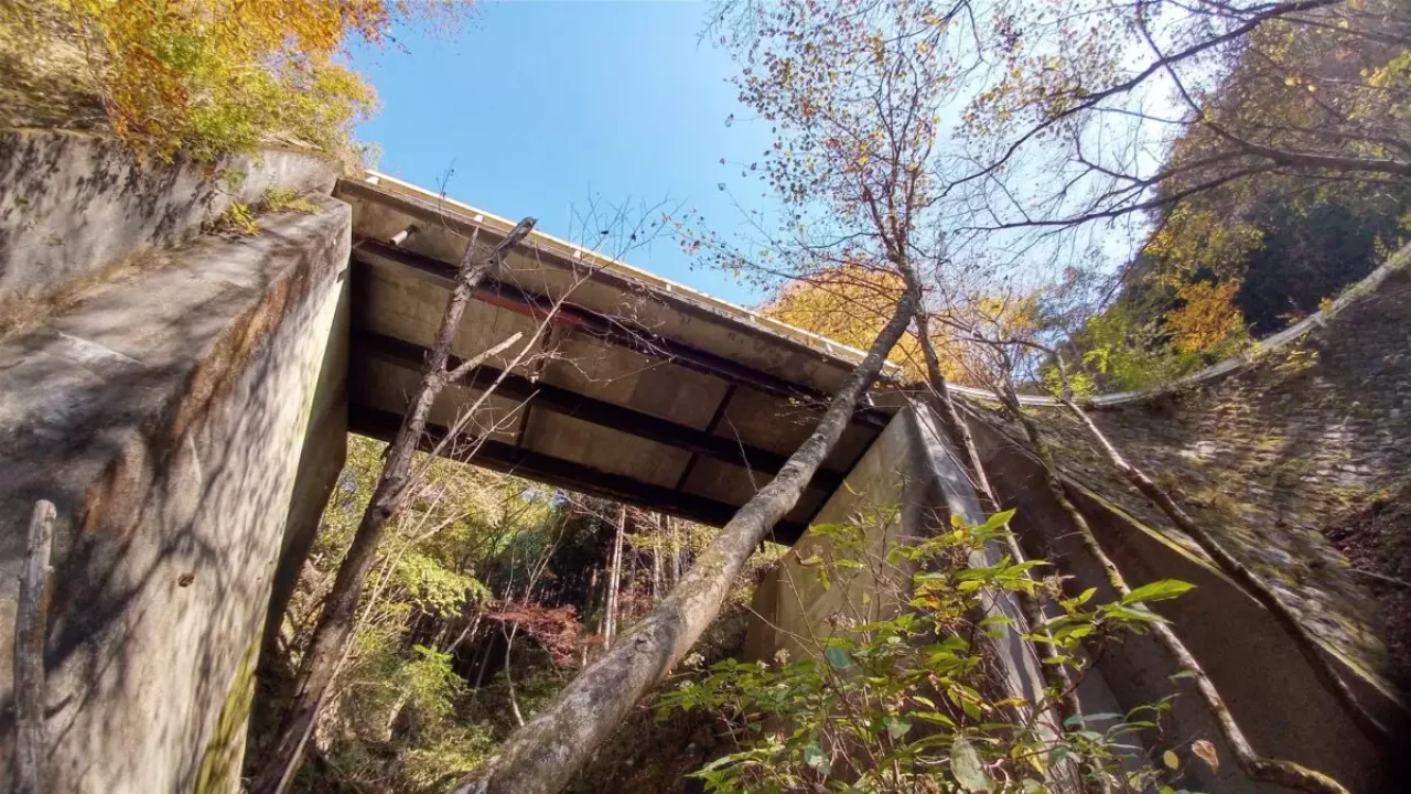 丹沢 三ノ塔 葛葉川本谷 林道