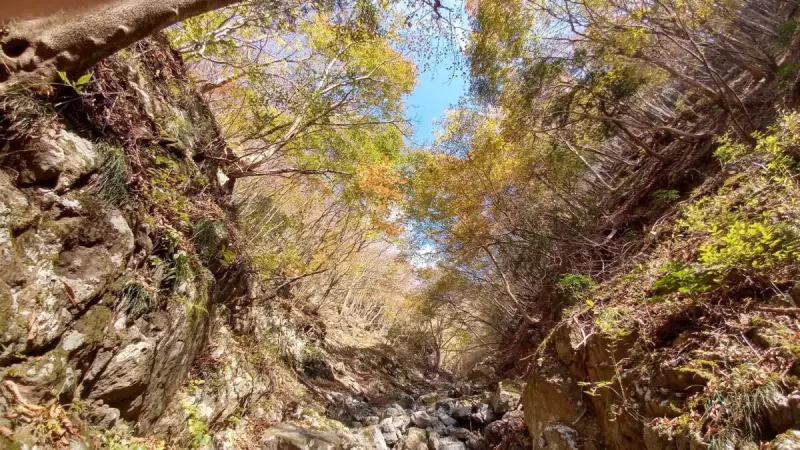 沢登りの魅力 色づく谷間