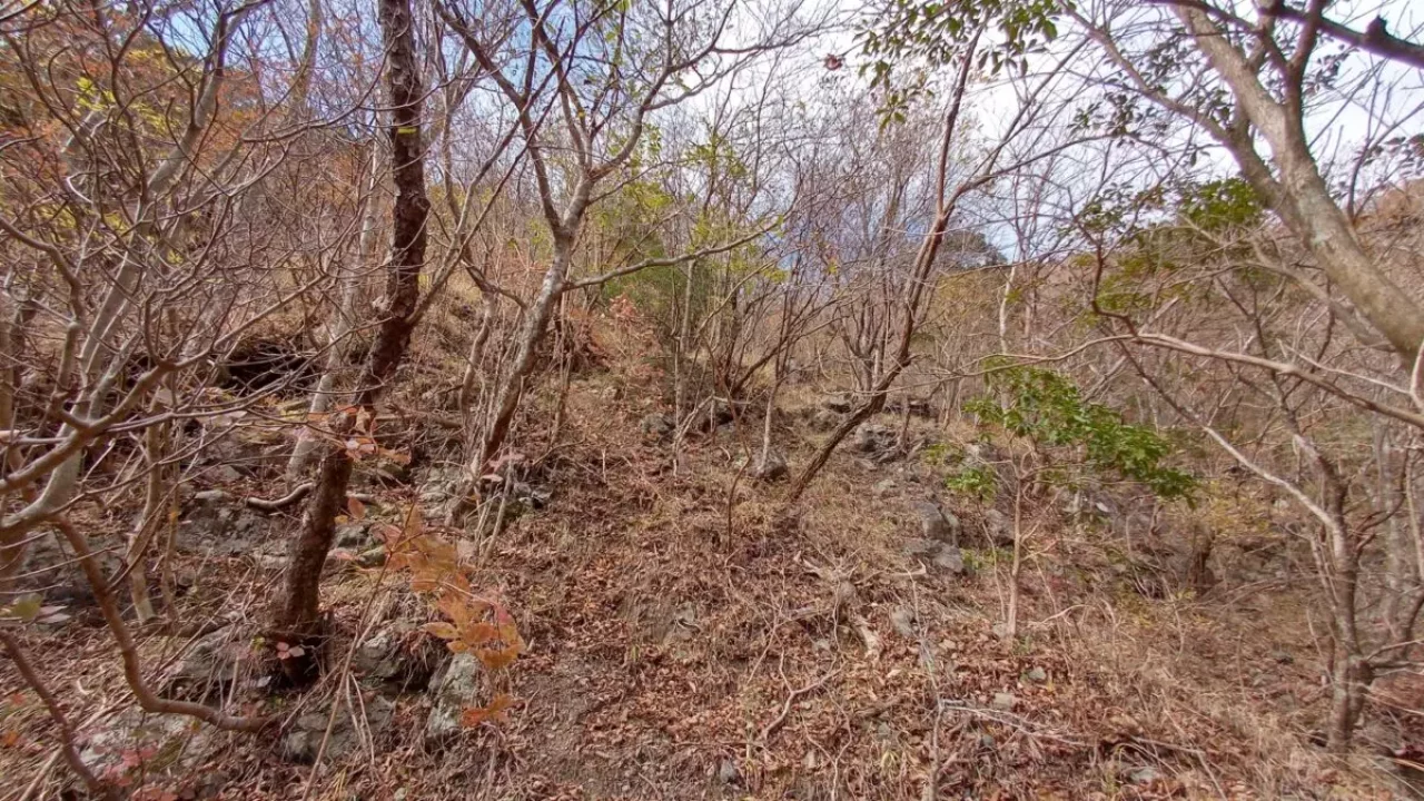 丹沢 三ノ塔 葛葉川本谷 詰め