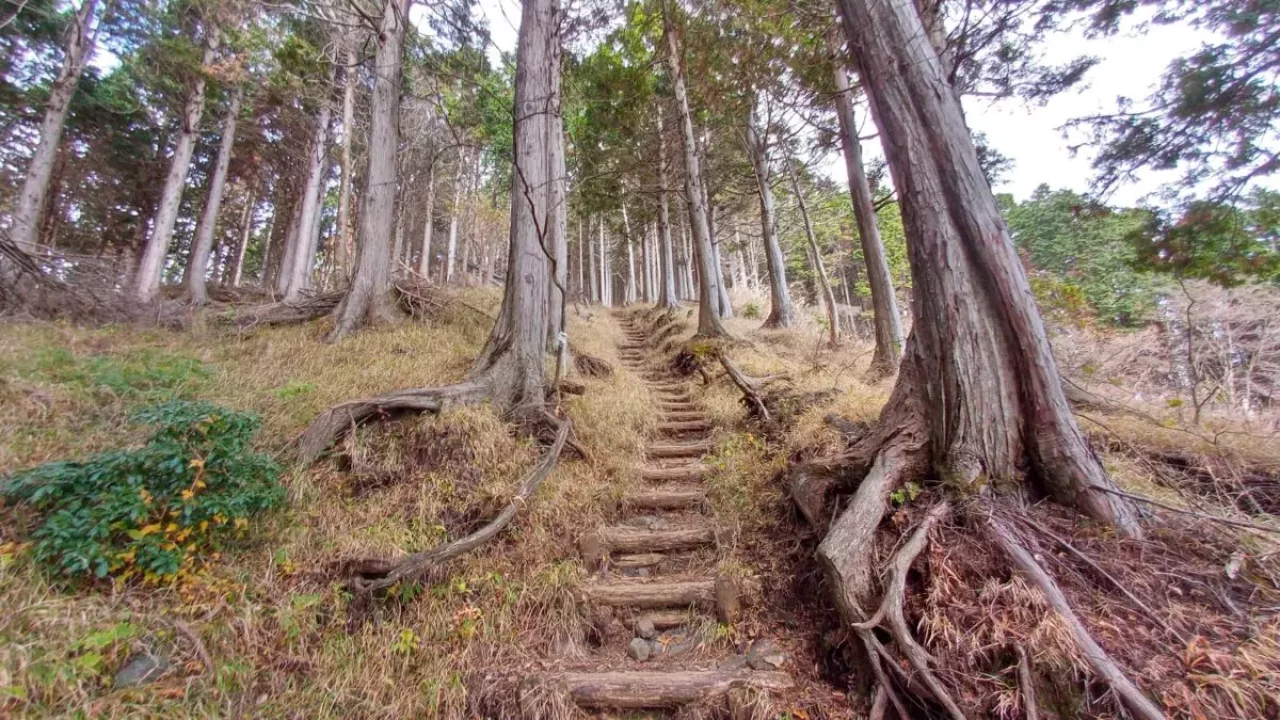 丹沢 三ノ塔 三ノ塔尾根