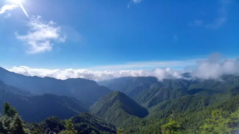 登山 ウィンドブレーカーのおすすめ