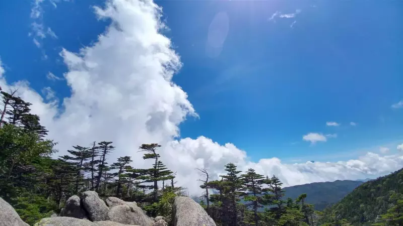 国師ヶ岳 登山 眺望