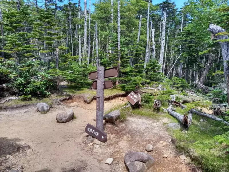 国師ヶ岳 登山 登山道