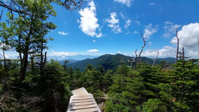 国師ヶ岳 登山 登山道