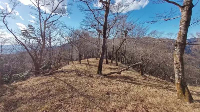 3月 登山 おすすめ 低山