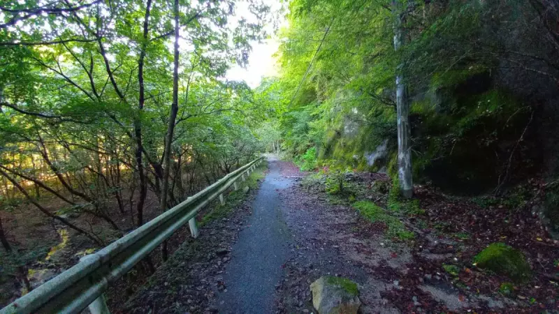 畦ヶ丸 登山 登山道