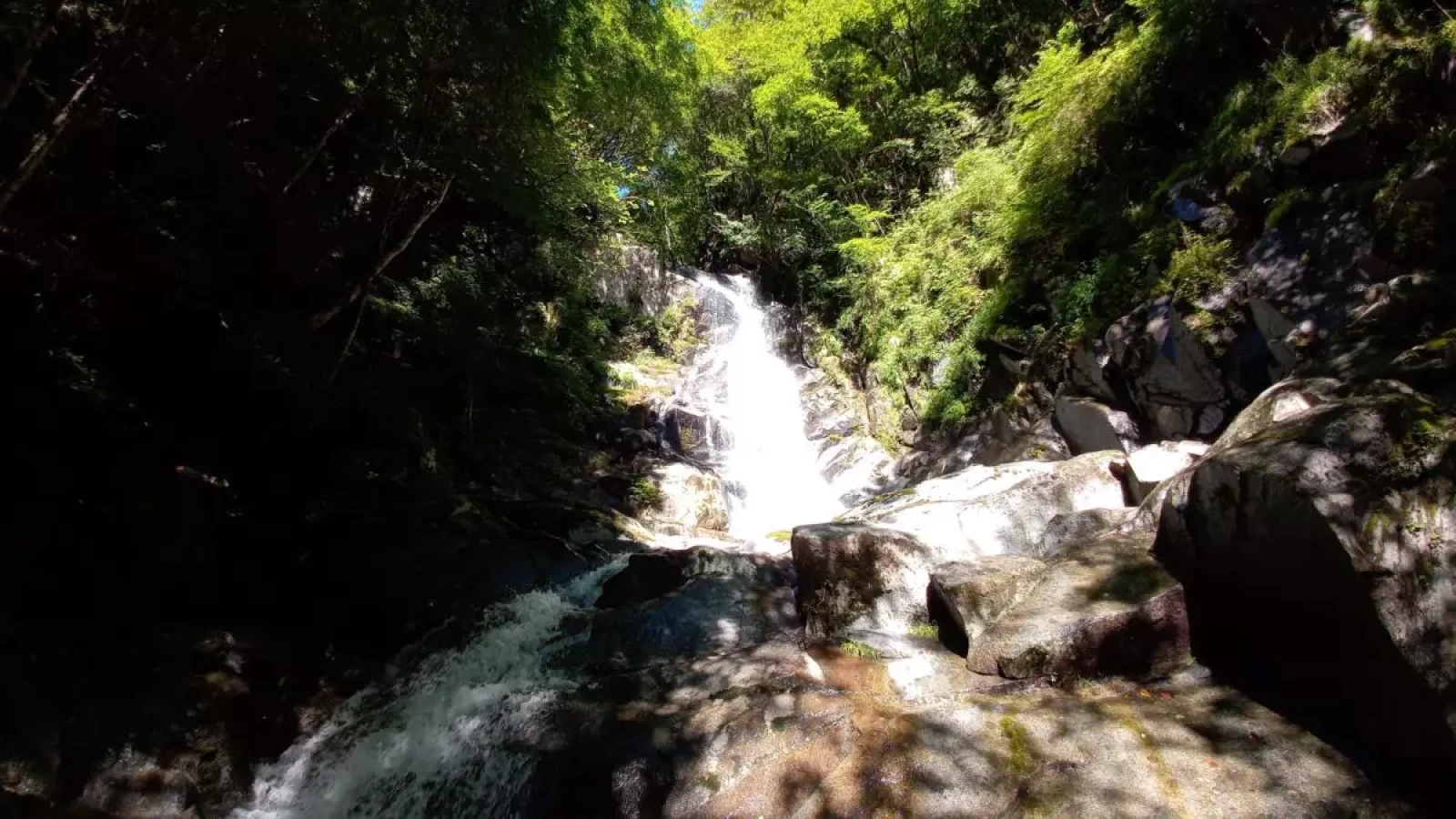 夏登山定番の沢登り!シャワークライミングの魅力と基本をご紹介!