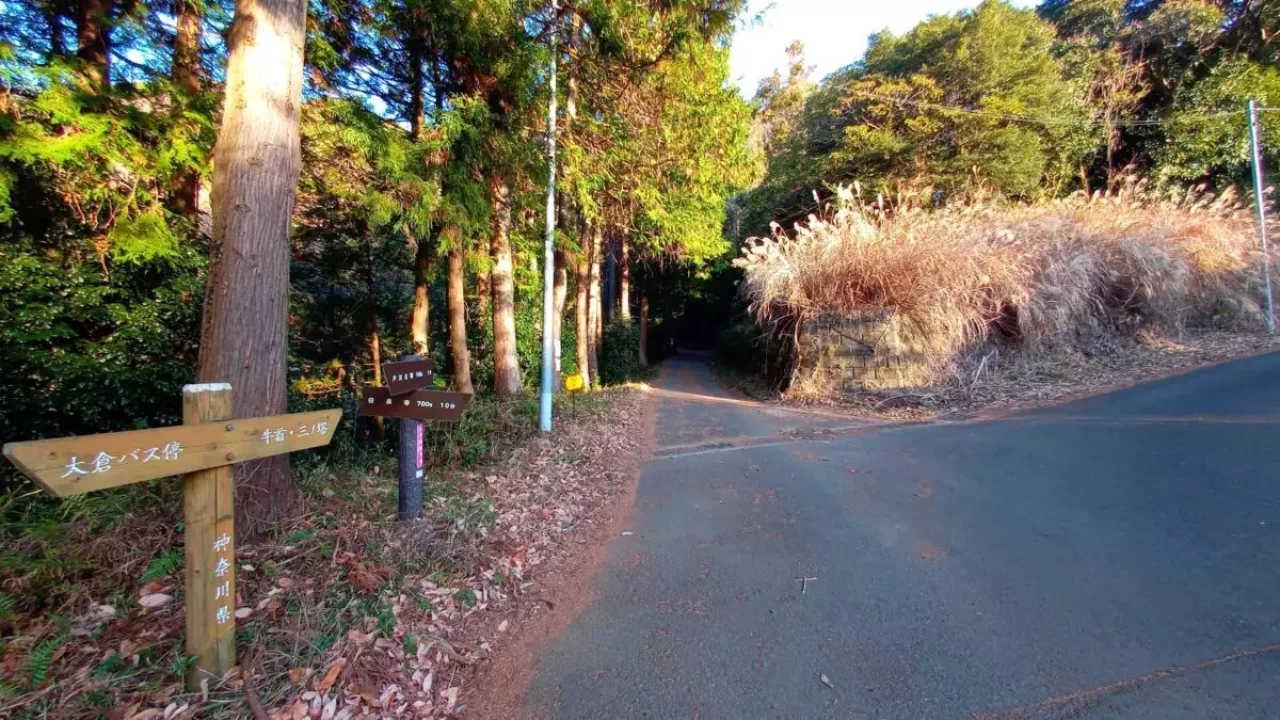 丹沢 三ノ塔 三ノ塔尾根