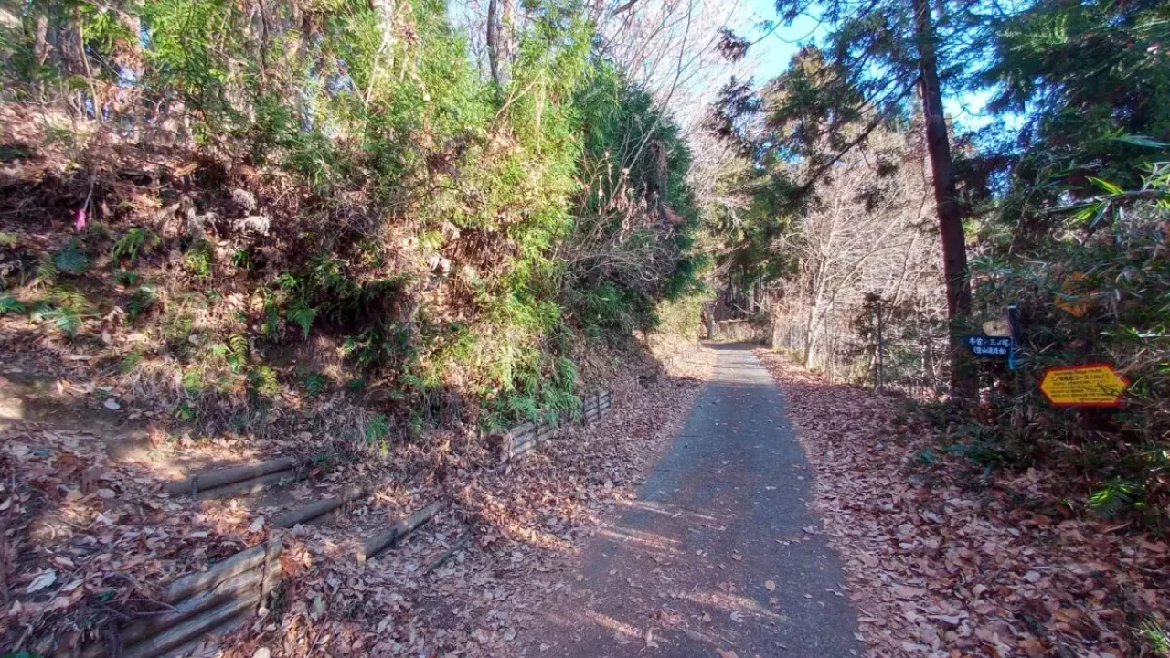 丹沢 三ノ塔 分岐