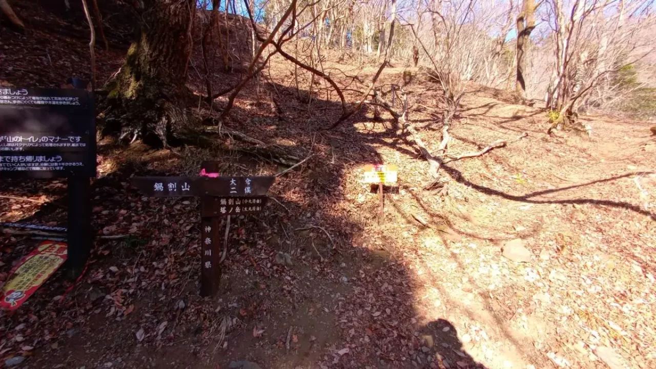 丹沢 鍋割山 小丸尾根分岐