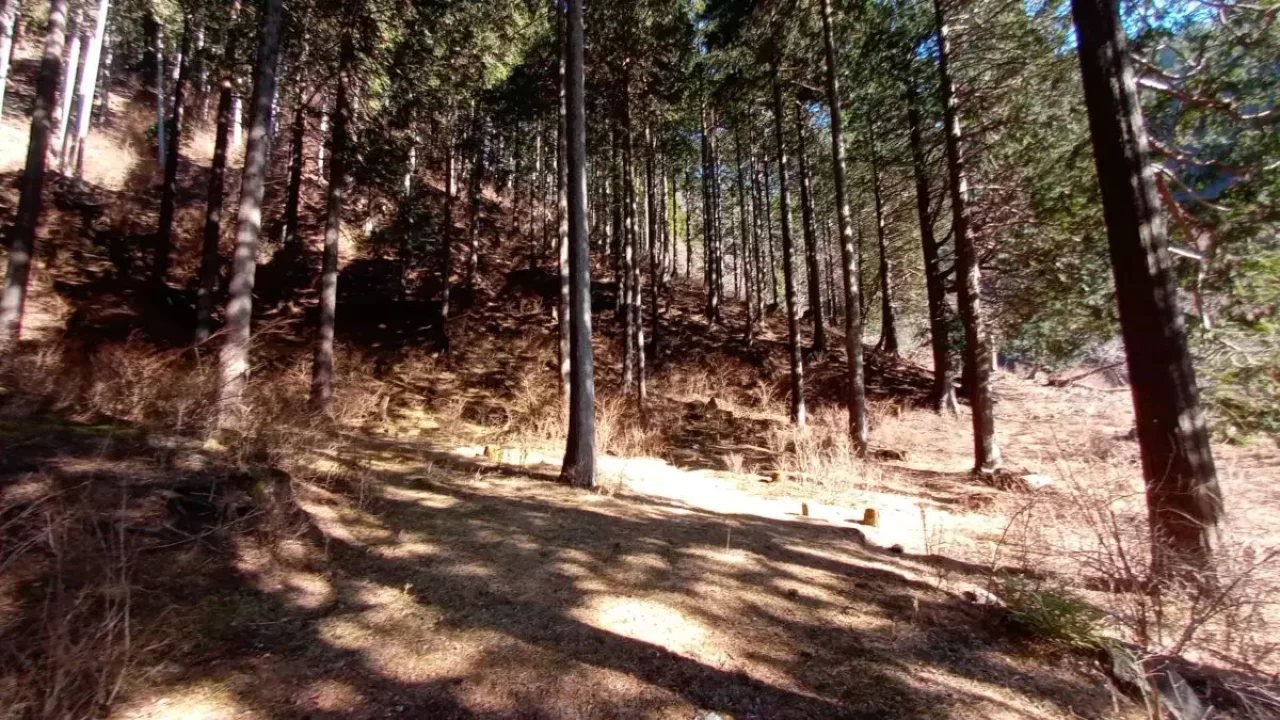 丹沢 鍋割山 マルガヤ尾根取り付き