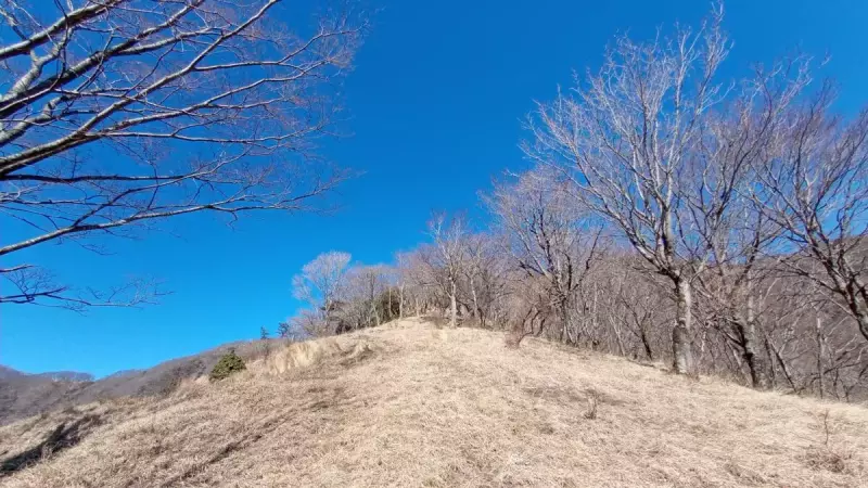 丹沢 鍋割山 マルガヤ尾根