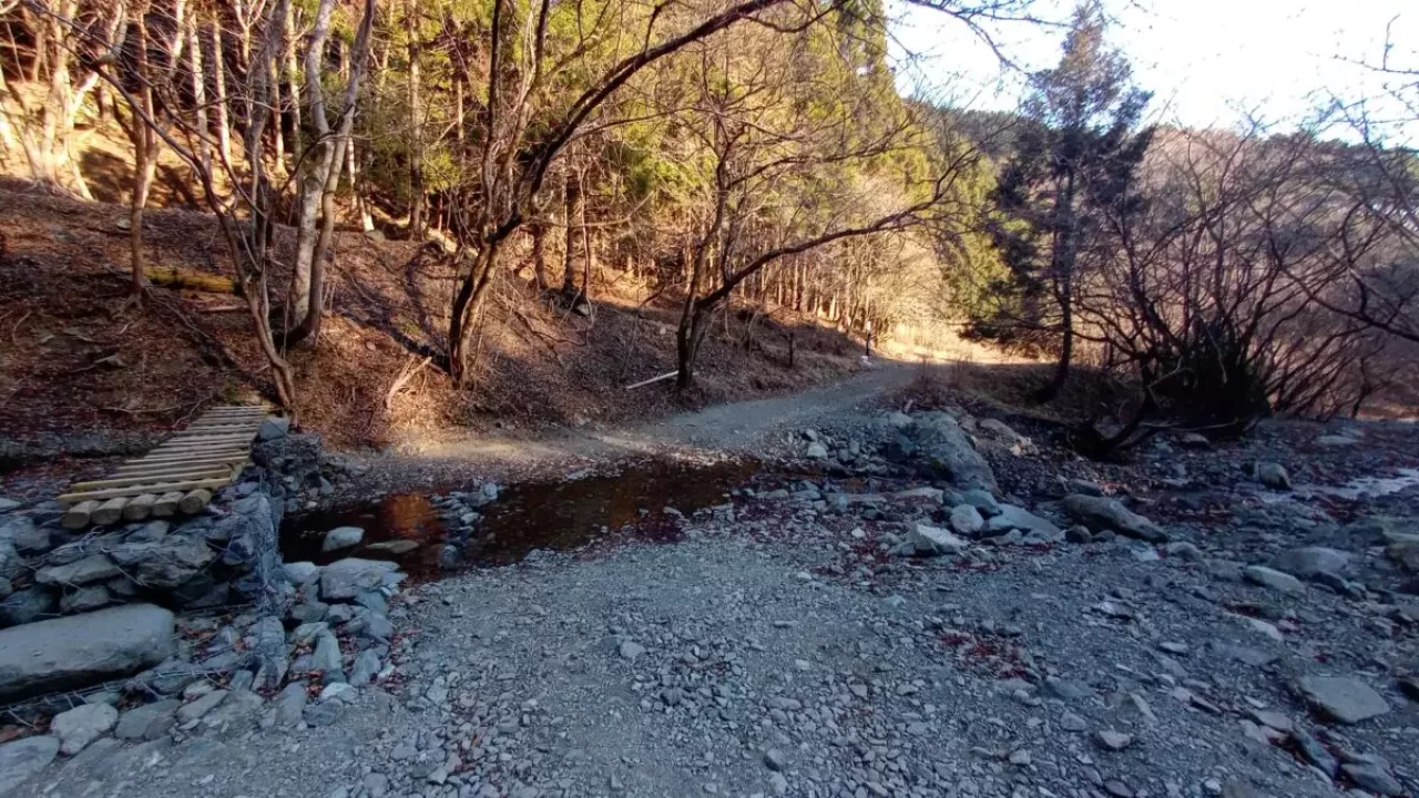 丹沢 鍋割山 二俣