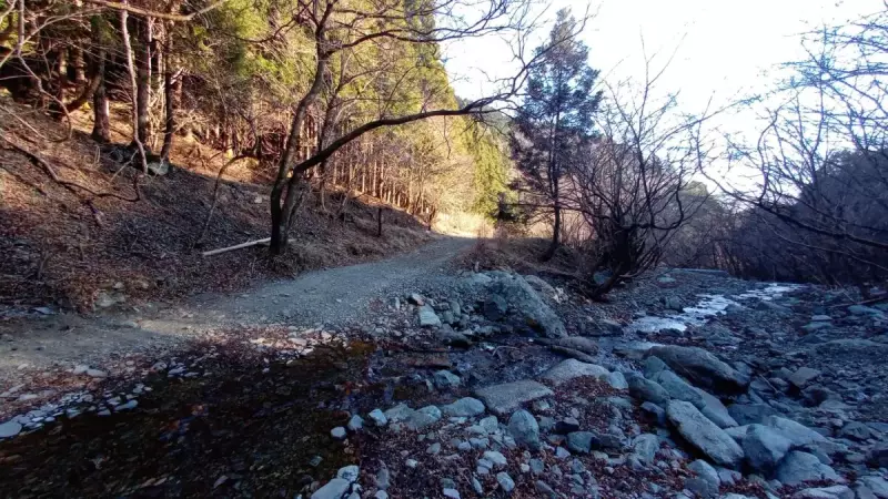 低山 おすすめ 鍋割山 沢の渡渉