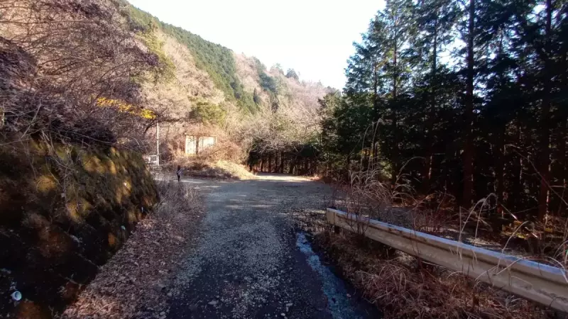丹沢 鍋割山 林道