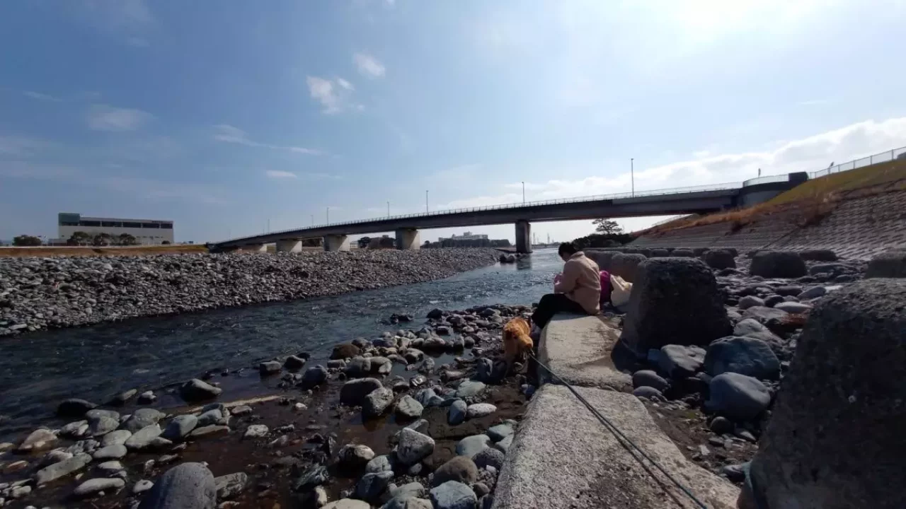 チーズトースト