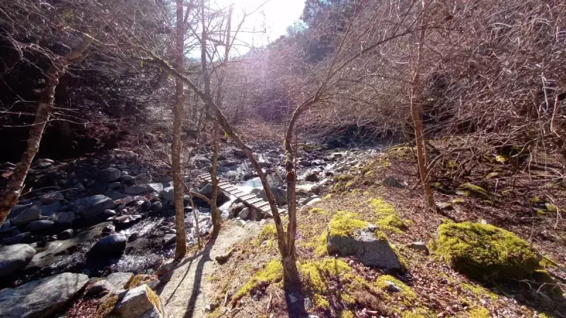 畦ヶ丸 登山 登山道