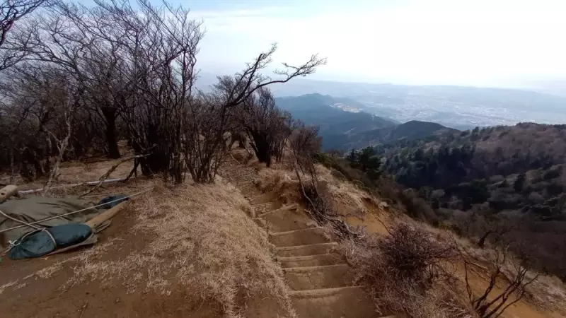 大山 登山 おすすめ 見晴台コース