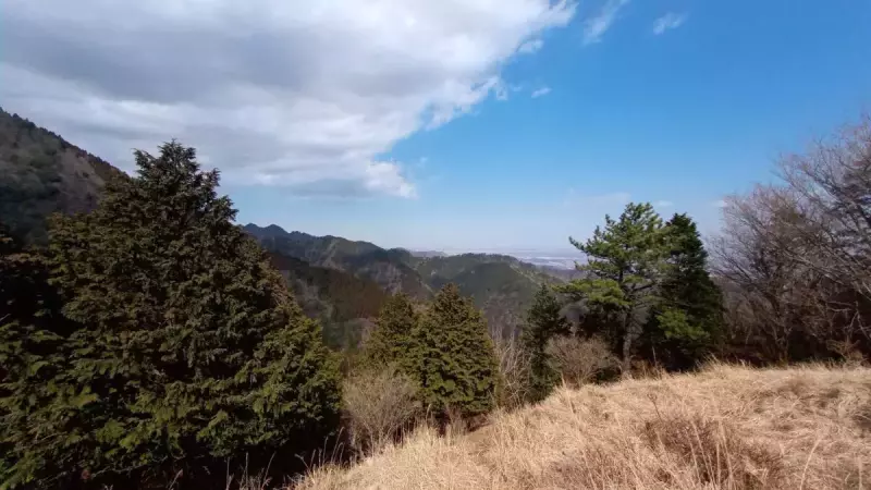大山 登山 おすすめ 見晴台からの景色