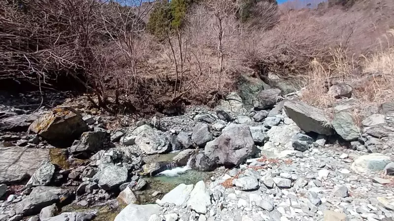丹沢 鍋割山 沢沿い