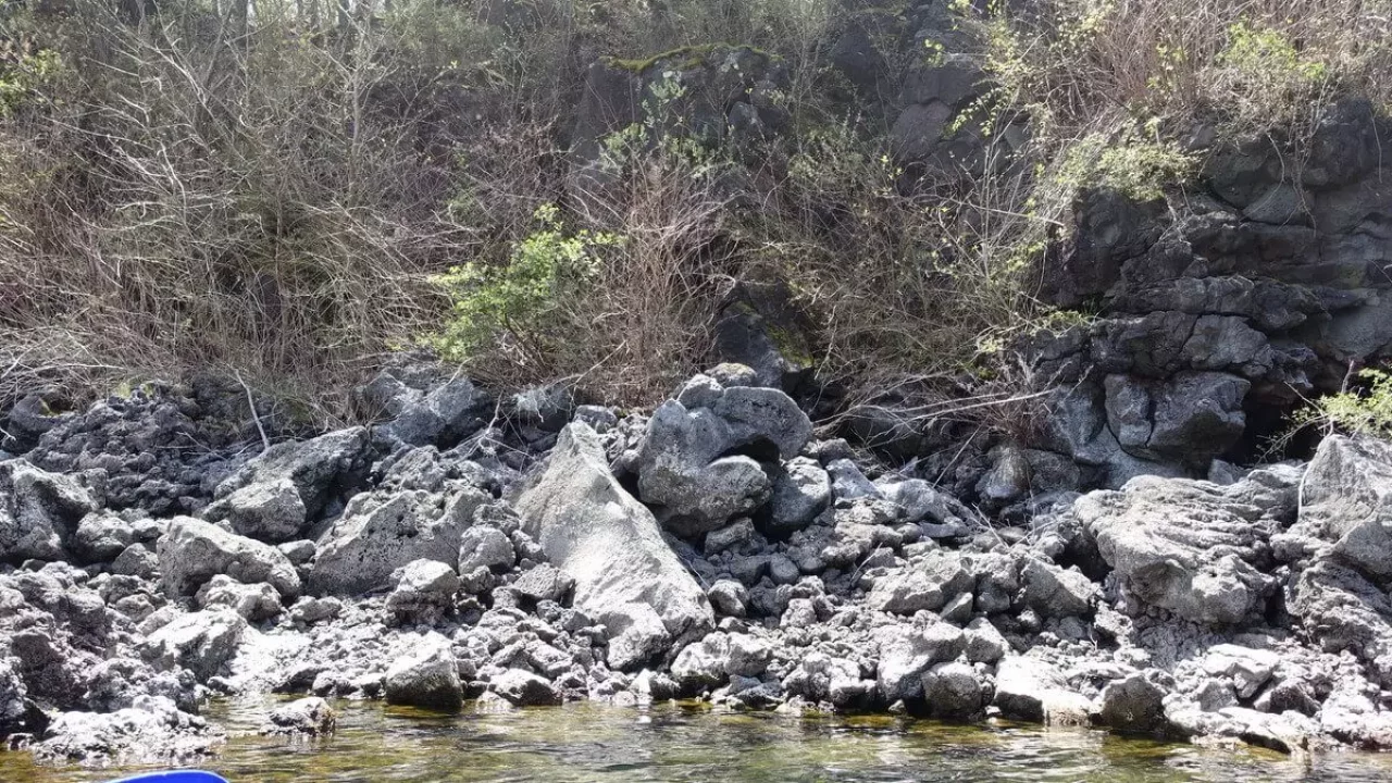 富士 西湖で楽しめるカヌー体験