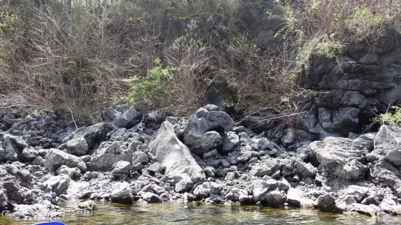 富士 西湖で楽しめるカヌー体験