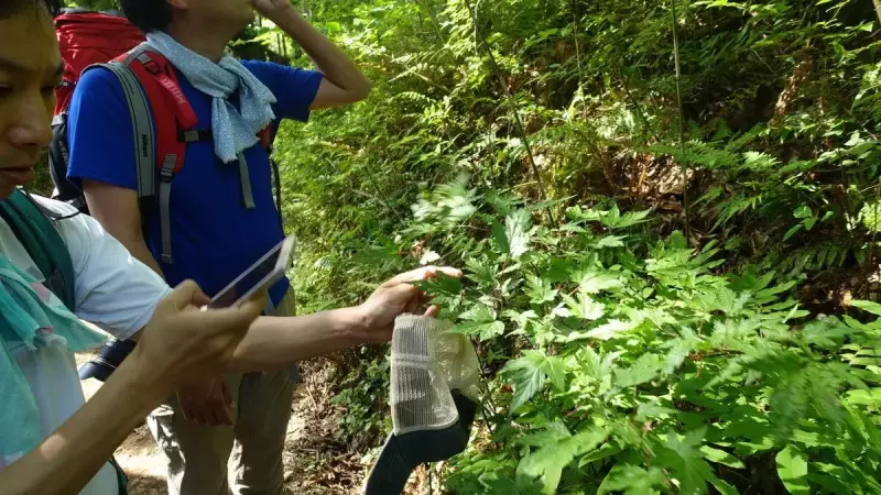 塔ノ岳 登山開始