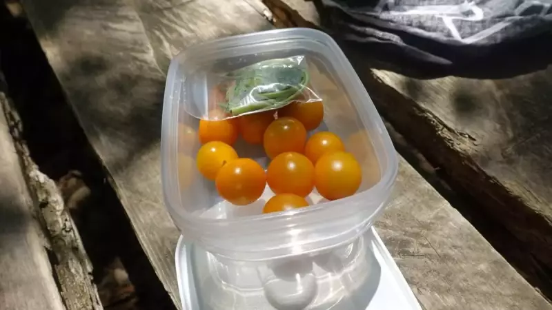 塔ノ岳 堀山の家の休憩場