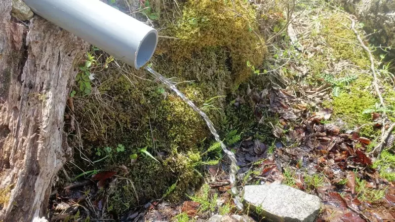 塔ノ岳近隣の水場