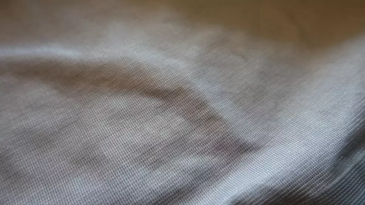 ポーラテック ネオシェル