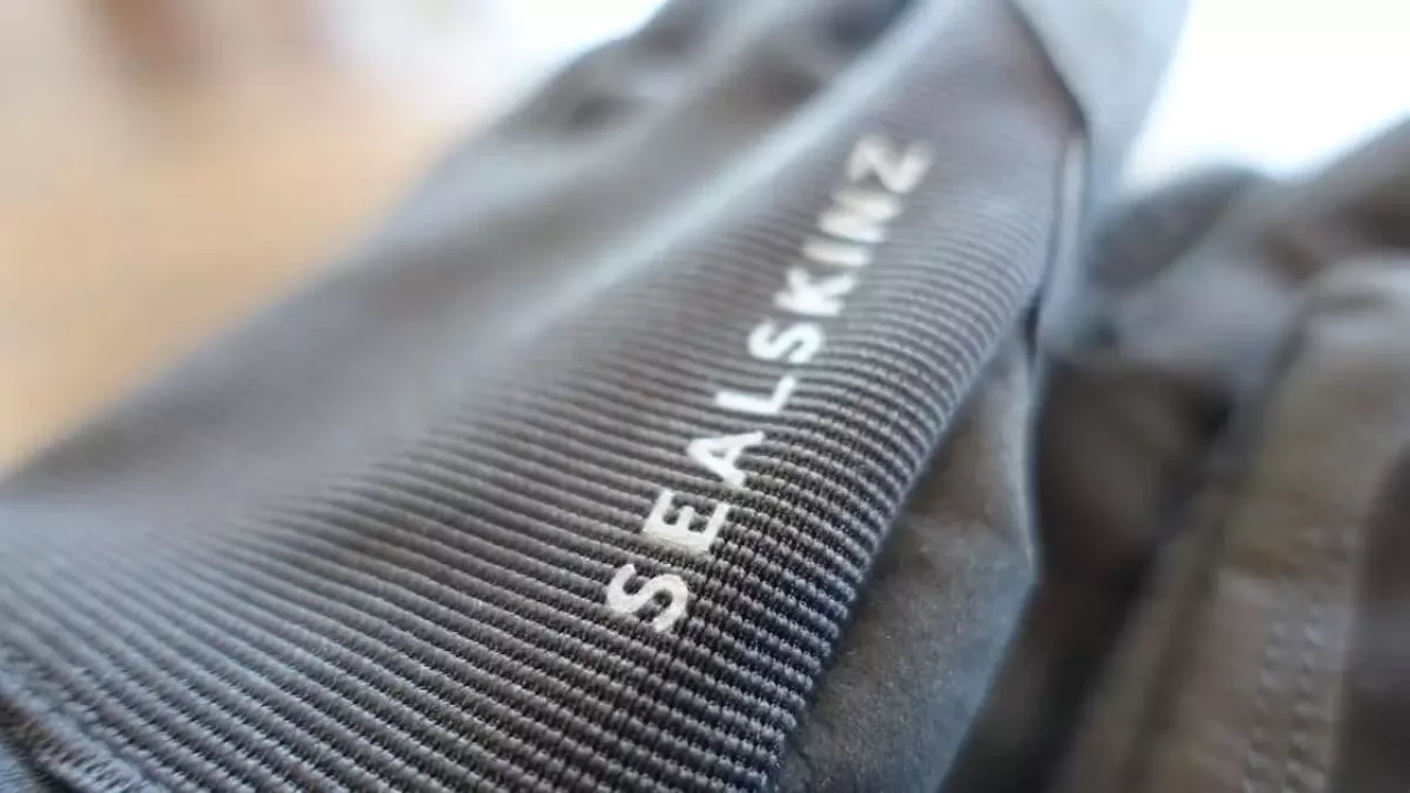 シールスキンズ