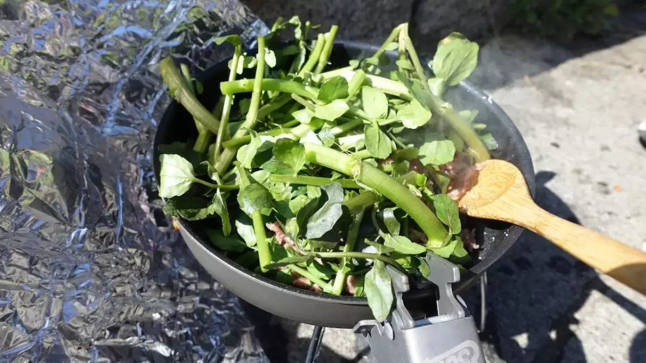 山ごはん「牛肉のレモンあえ」