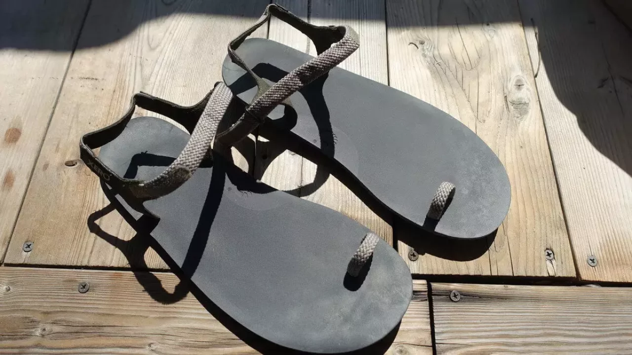 ゼロシューズのジェシー