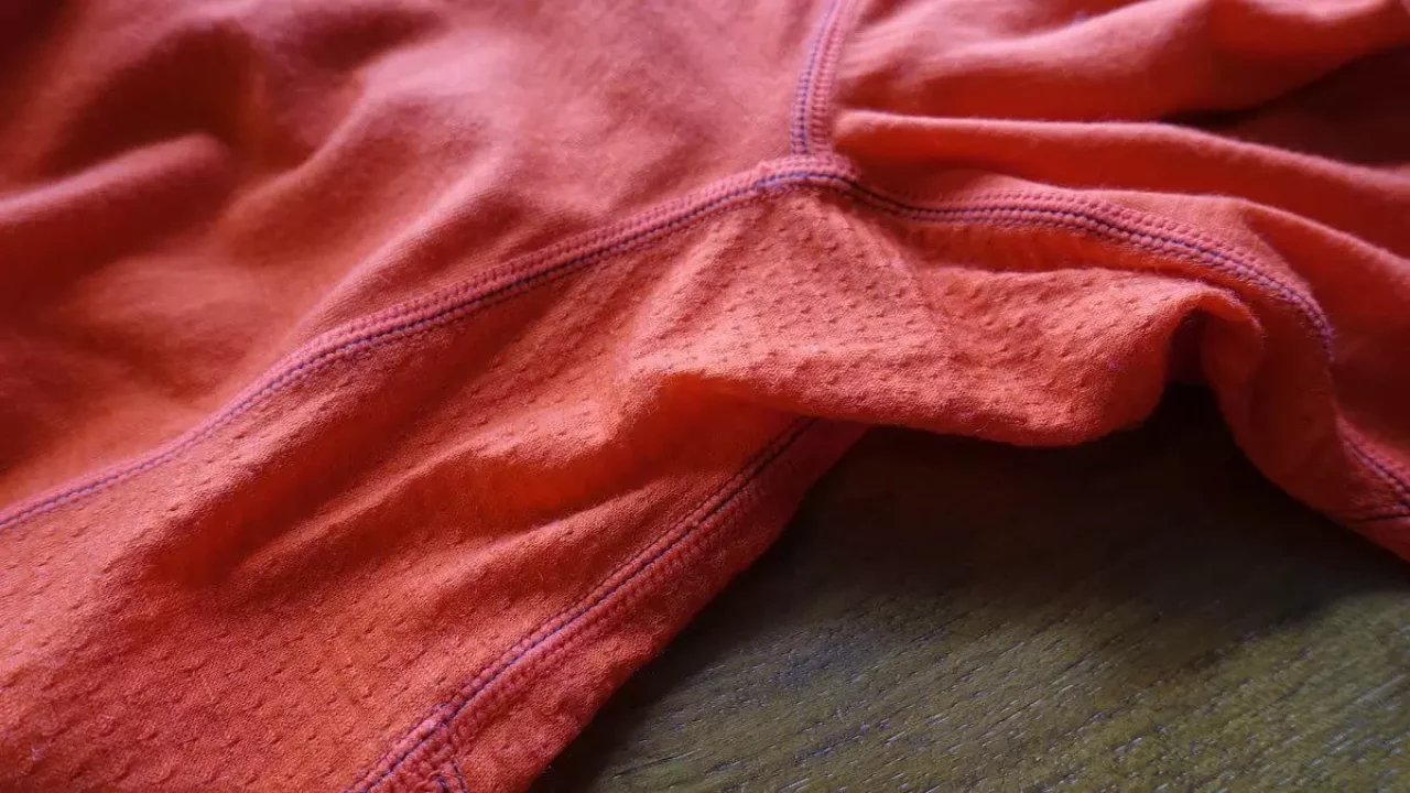 アイスブレーカー 150ゾーンのメッシュパネル