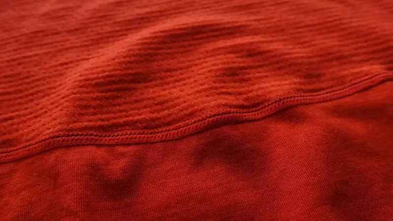 アイスブレーカー 150ゾーンのメッシュパネル