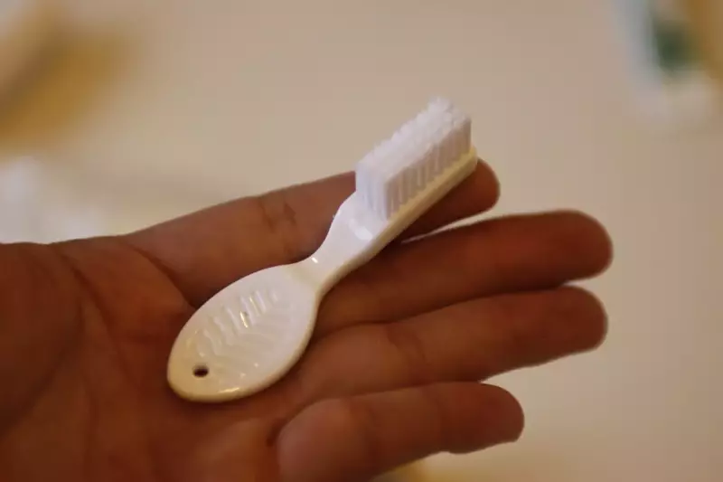 手のひらに収まる長さと持ちやすいヘッドが魅力のコンパクト歯ブラシ