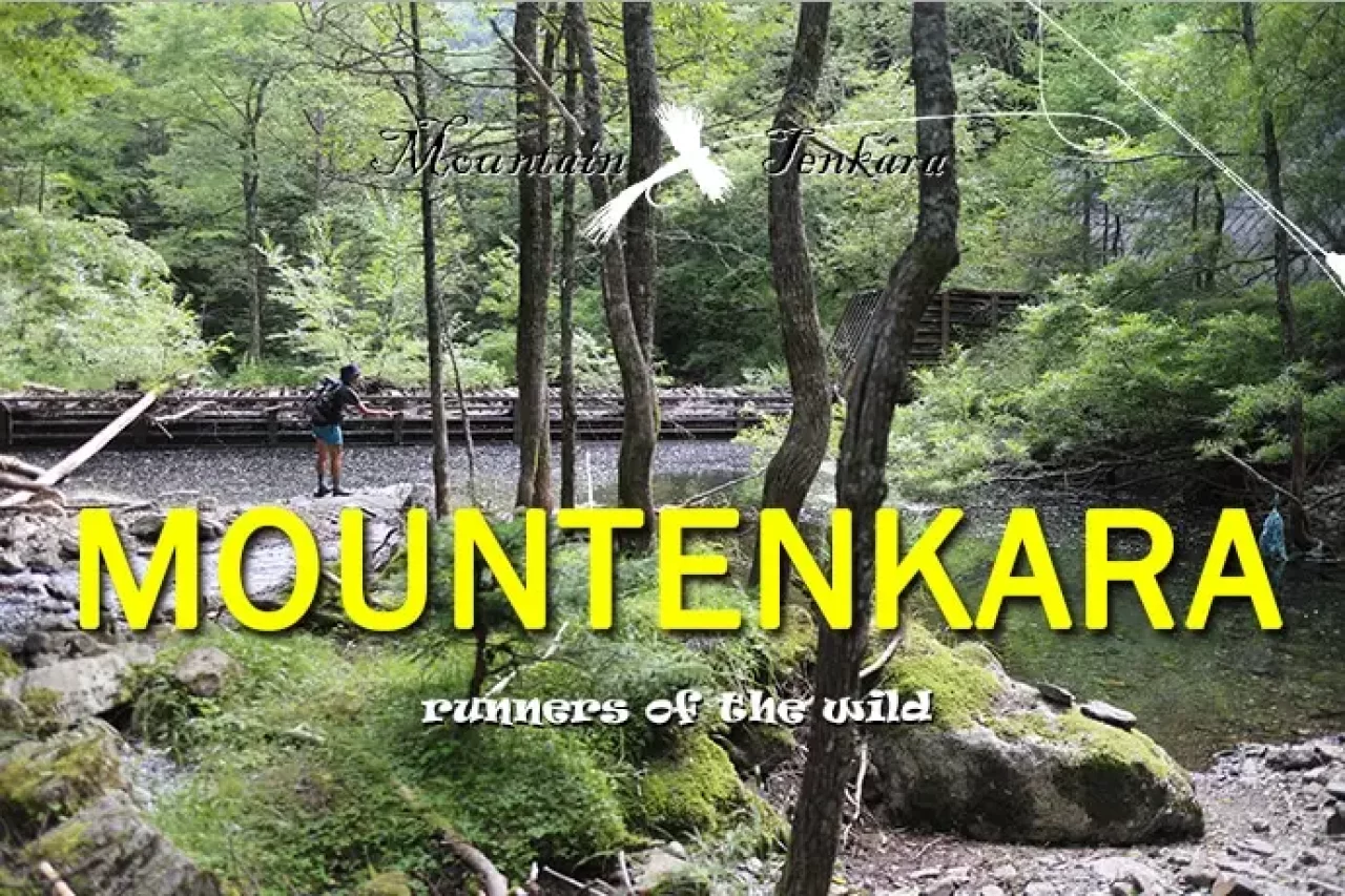 マウンテンカラ