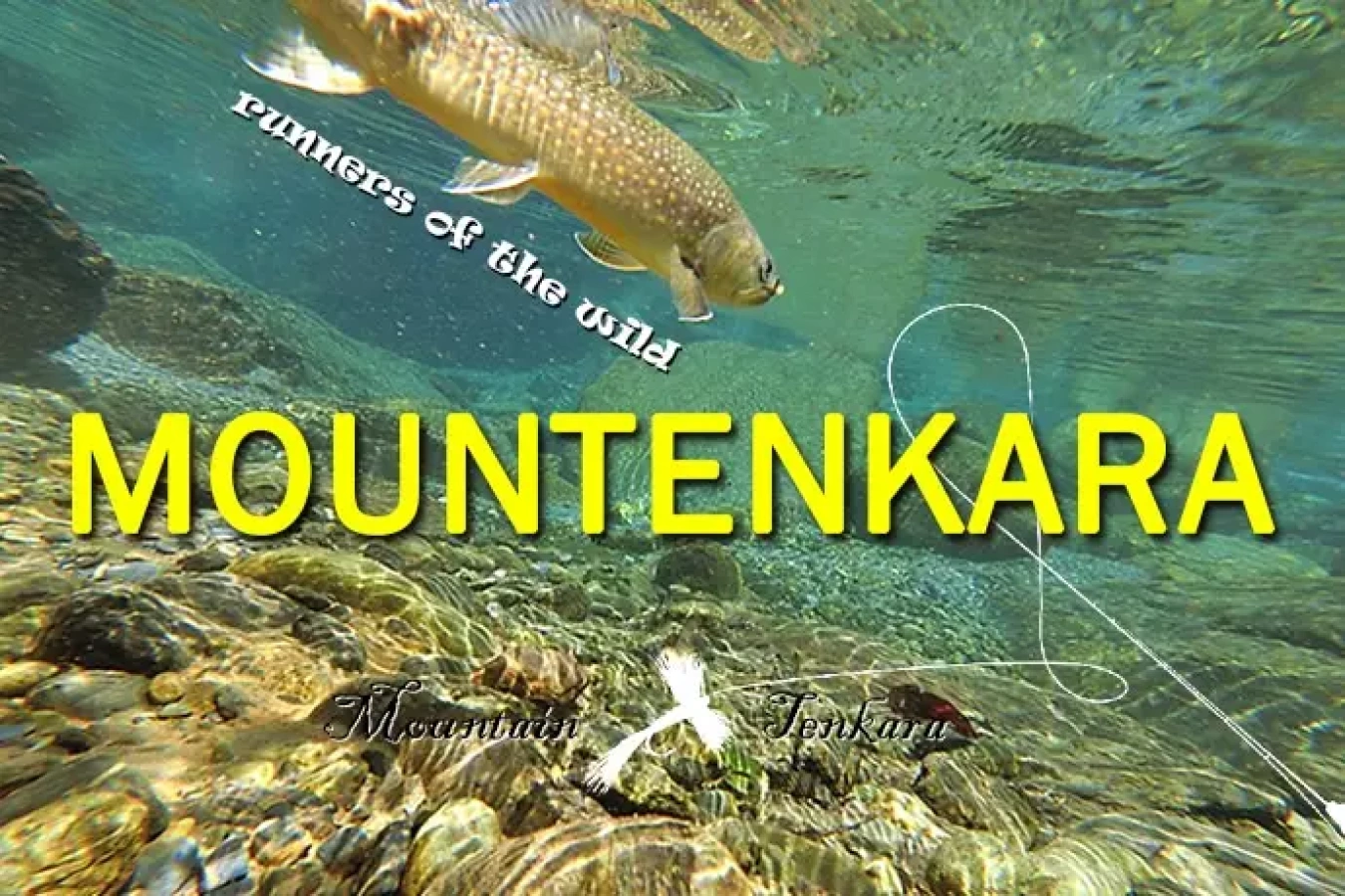 ランとテンカラで山旅を楽しむ『マウンテンカラ部 Vol.3 ~2日目~』