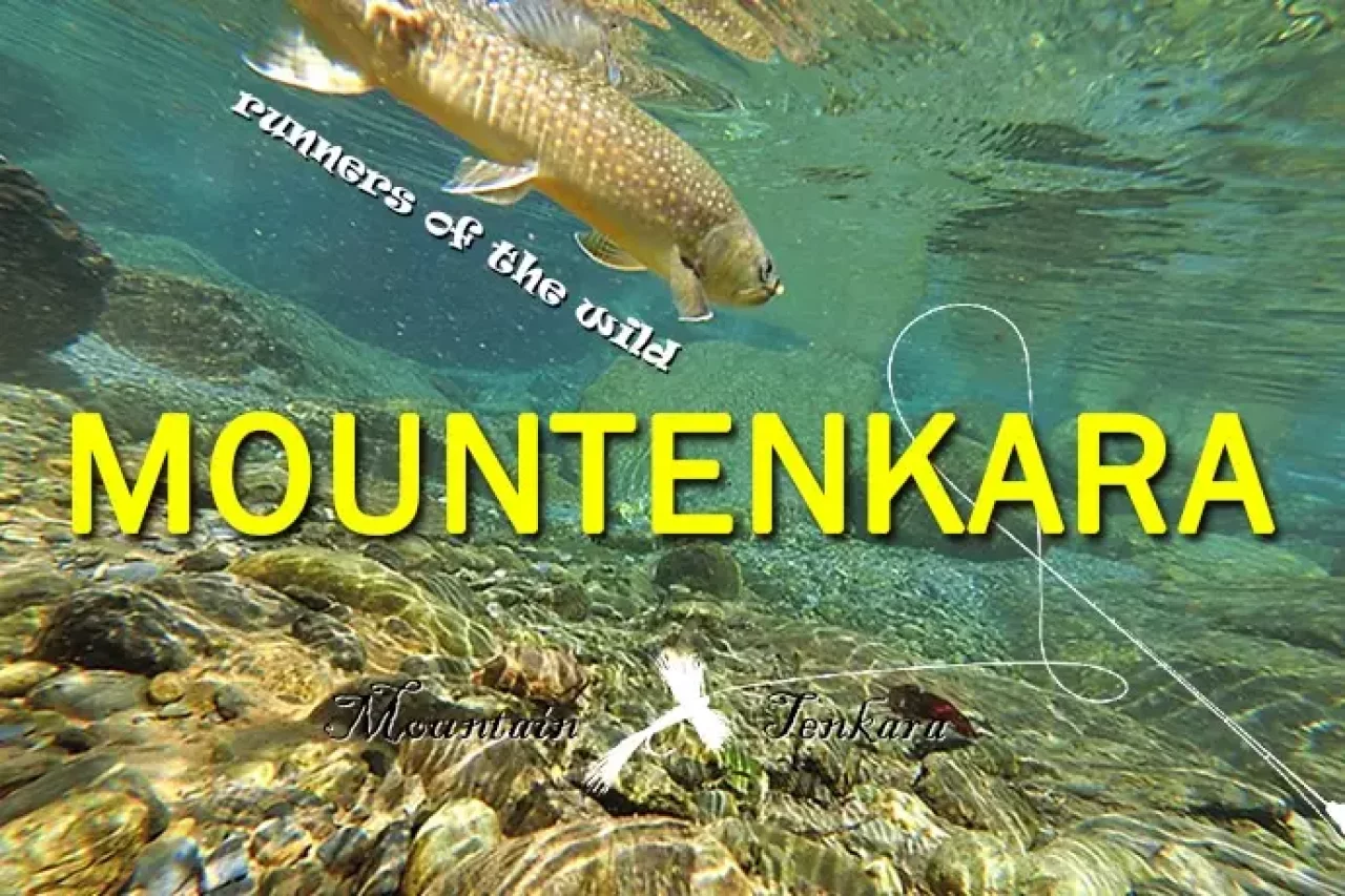 マウンテンカラ