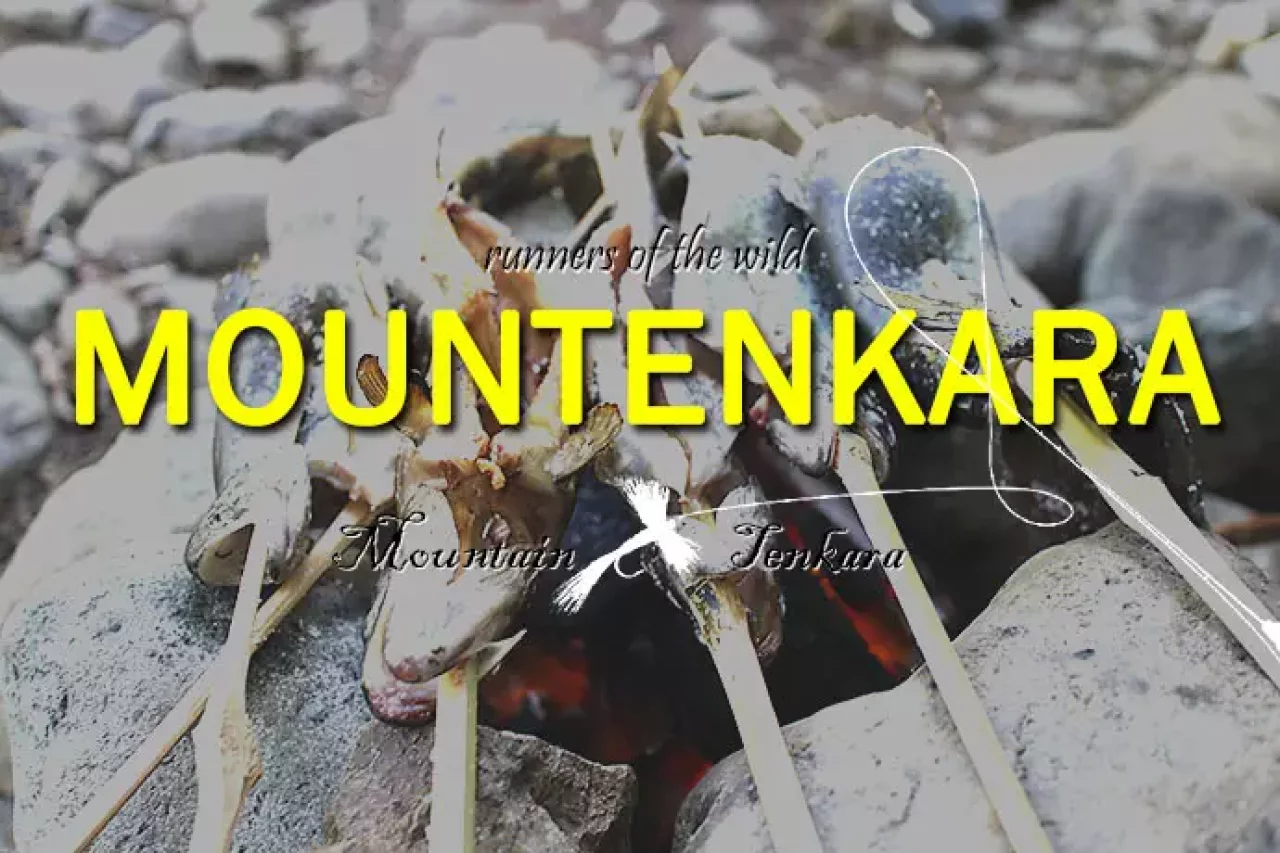 マウンテンカラ