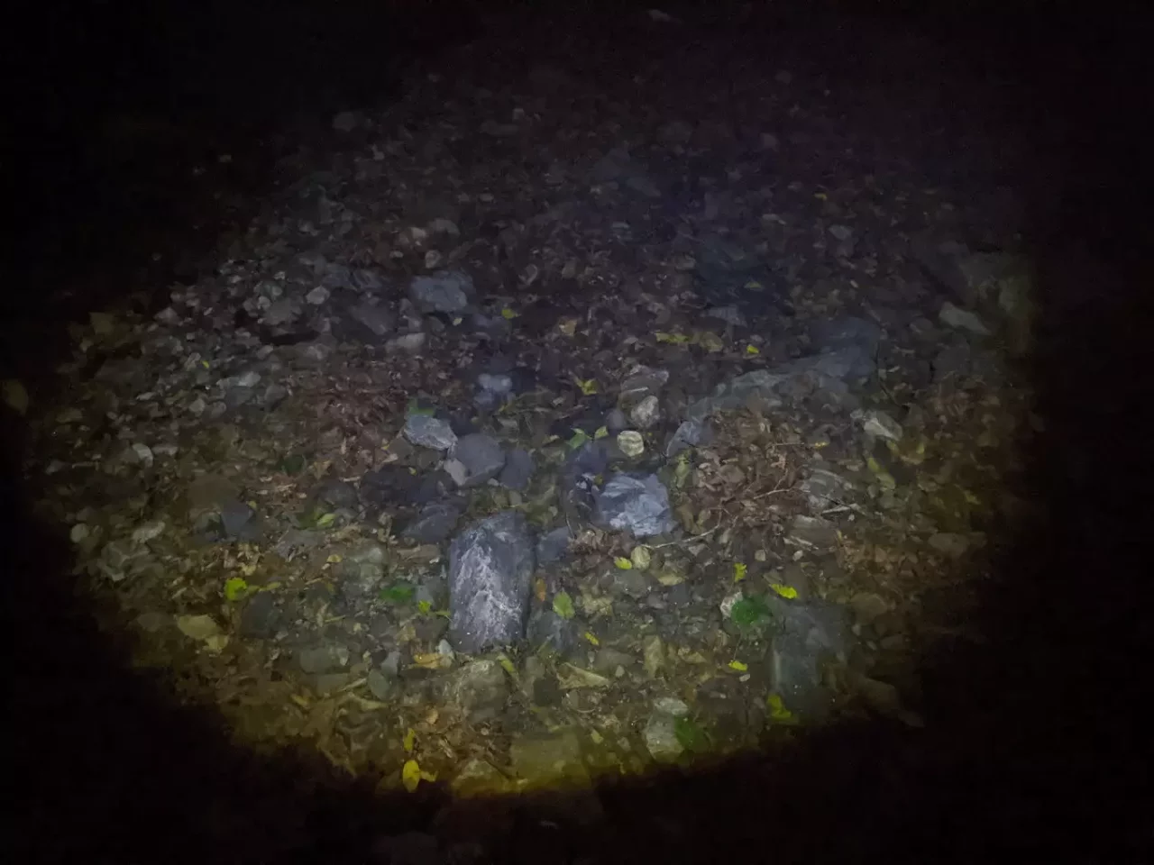 登山用ヘッドライト レッドレンザー MH5ローモード