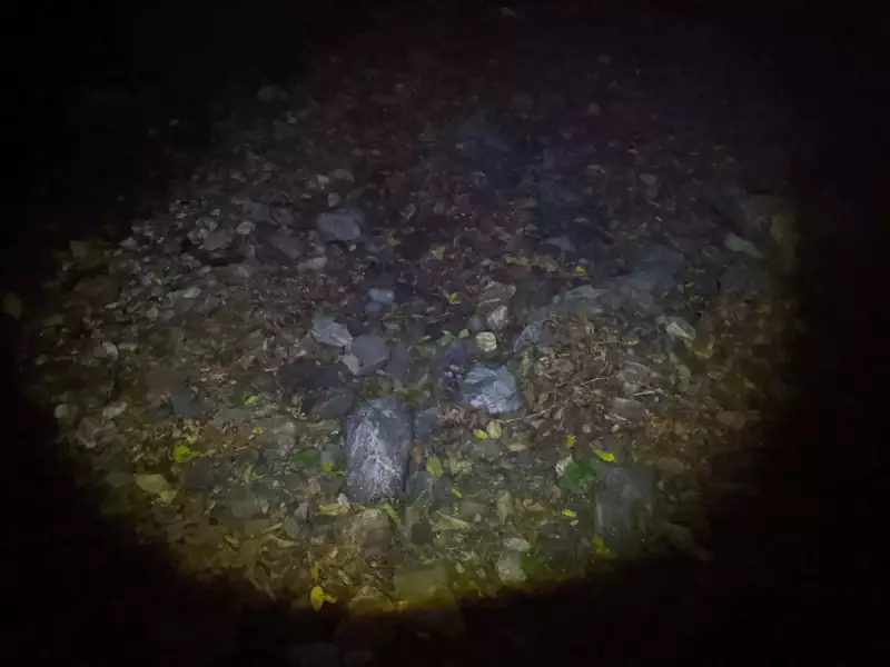 登山用ヘッドライト レッドレンザー MH5ローモード