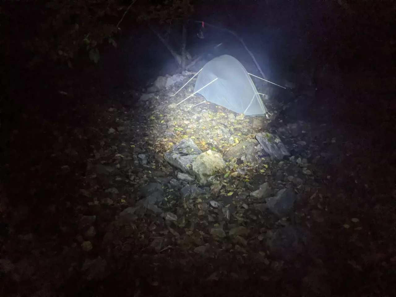 登山用ヘッドライト レッドレンザー MH5ローモード