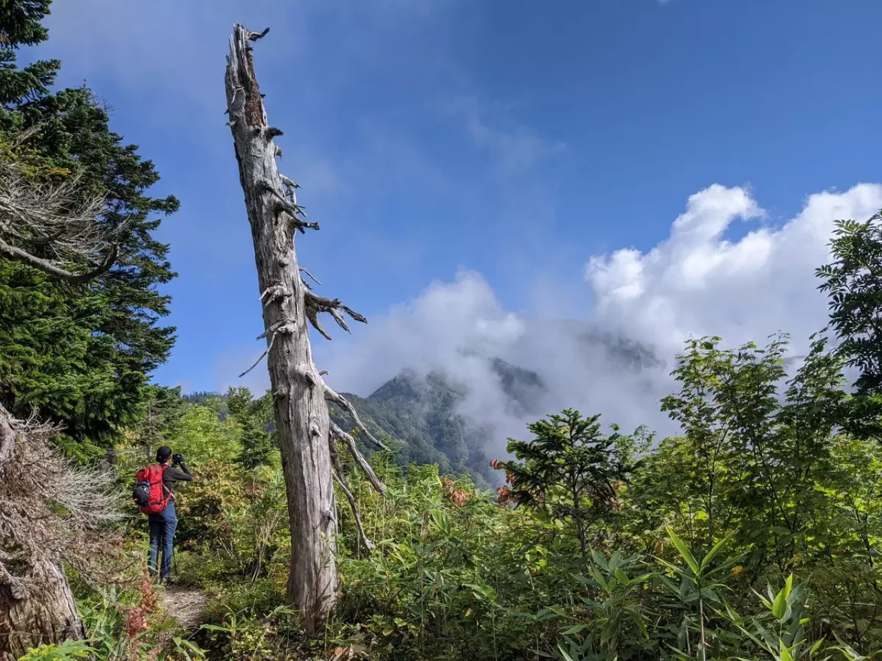 季節に関係なく使えるドライレイヤー