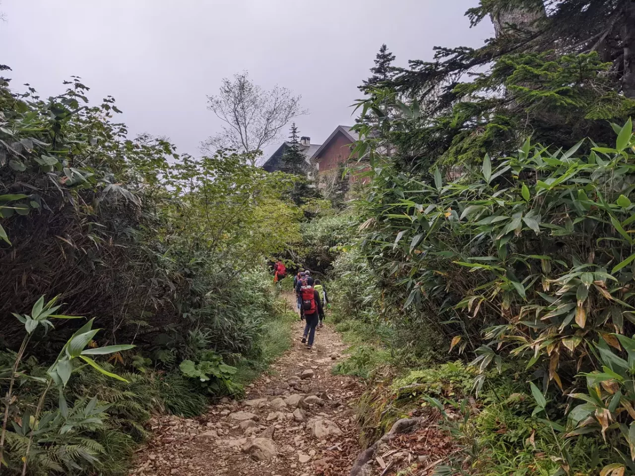 栂池高原からゴンドラリフトと栂池ロープウェイ